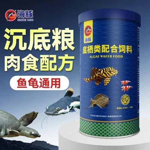 如何確保招財貓魚和龍魚有足夠的食物（招財貓魚吃什么食物最好）