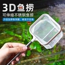 混養雷龍魚和異形魚需要哪些工具魚？ 混養雷龍魚和異形魚需要哪些工具魚？ 龍魚百科 第2張