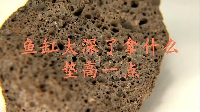 如何安全地調整龍魚缸的高度？ 如何安全地調整龍魚缸的高度？ 龍魚百科 第1張
