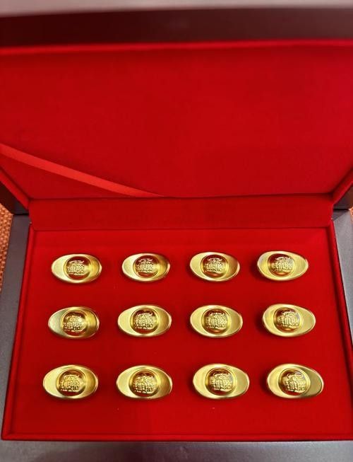 金龍魚和金元寶哪個更受歡迎 龍魚百科 第6張 金龍魚和金元寶哪個更受歡迎 金龍魚和金元寶哪個更受歡迎 龍魚百科 第6張