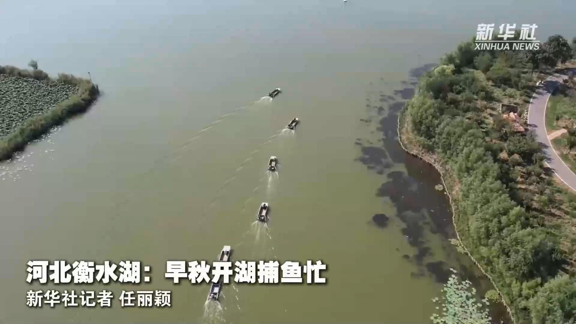 衡水龍魚水族館有哪些魚類（衡水龍魚水族館主要魚類介紹）