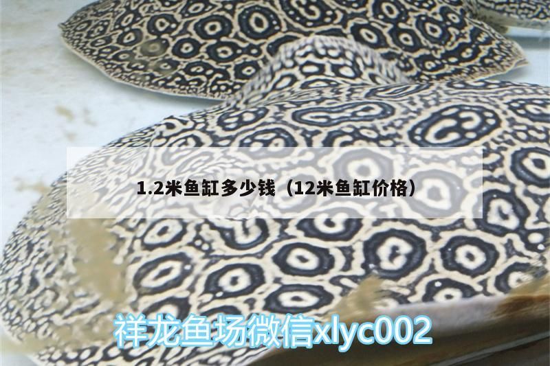 1.2米魚缸多少錢（12米魚缸價格）