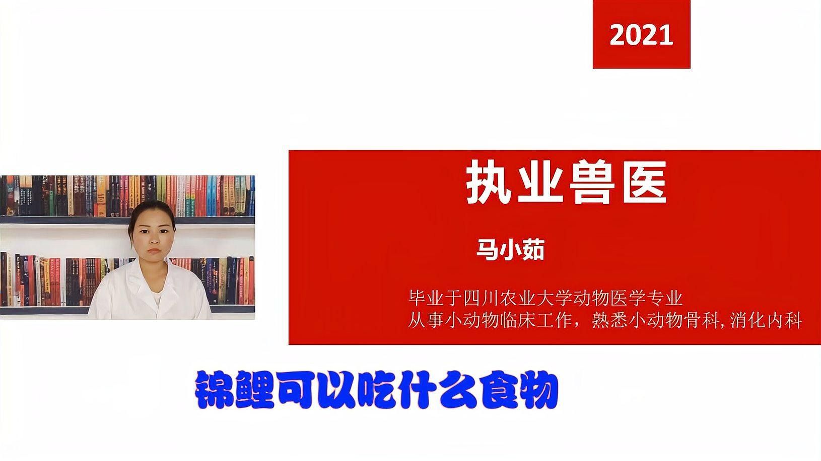 火龍魚和錦鯉的食物有哪些（火龍魚和錦鯉有什么區別？）