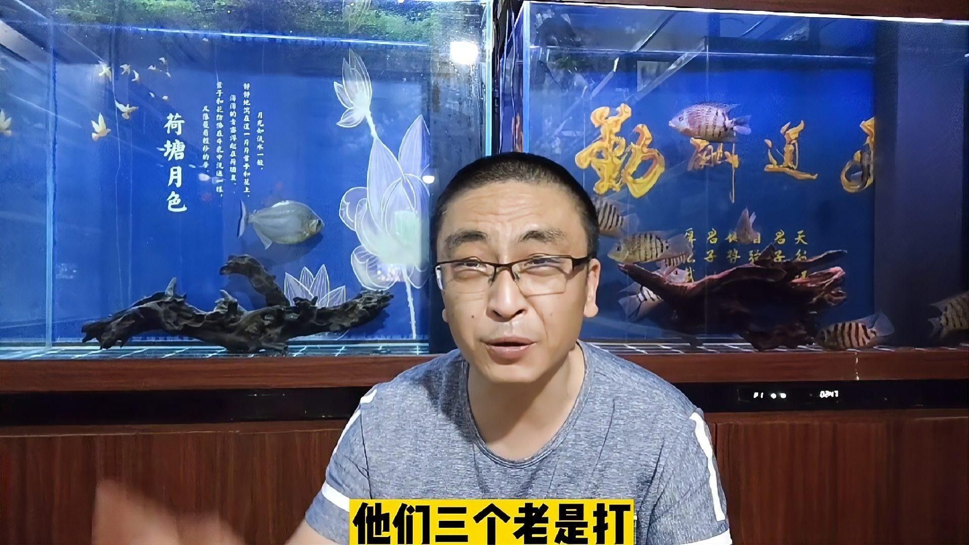 哪些沉木適合放在龍魚缸中？