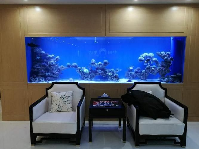 龍魚手帕有何特殊功能