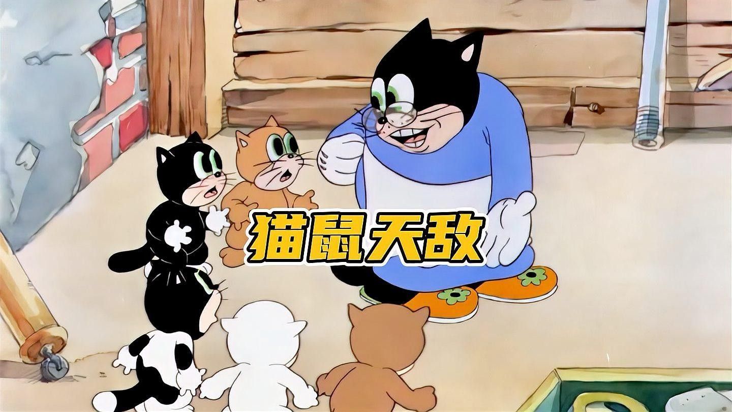 龍貓和貓打架，龍貓會還手嗎 龍貓和貓打架，龍貓會還手嗎 龍魚百科 第9張