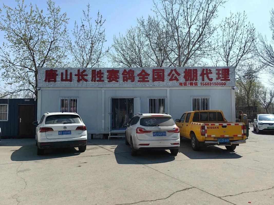 如何聯系潮州金龍魚鴿業（如何聯系潮州金龍魚鴿業？）