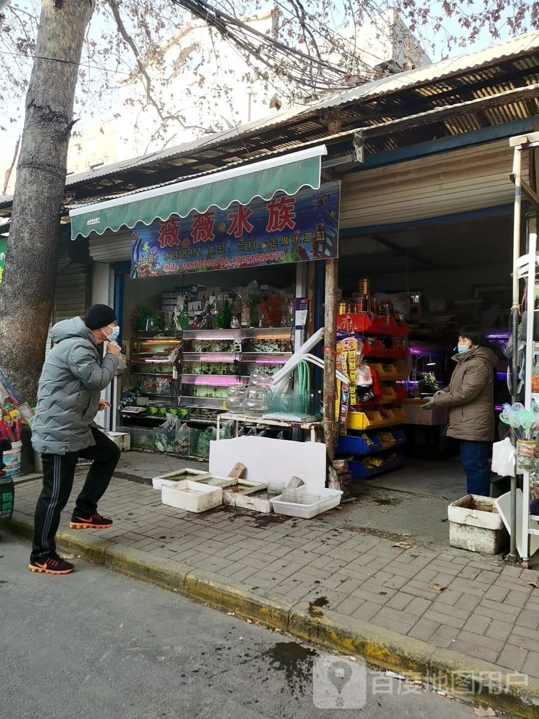 張店哪個水族館龍魚好？祥龍魚場龍魚（店祥龍魚場是當地知名的水族館） 張店哪個水族館龍魚好？祥龍魚場龍魚（店祥龍魚場是當地知名的水族館） 龍魚百科 第7張