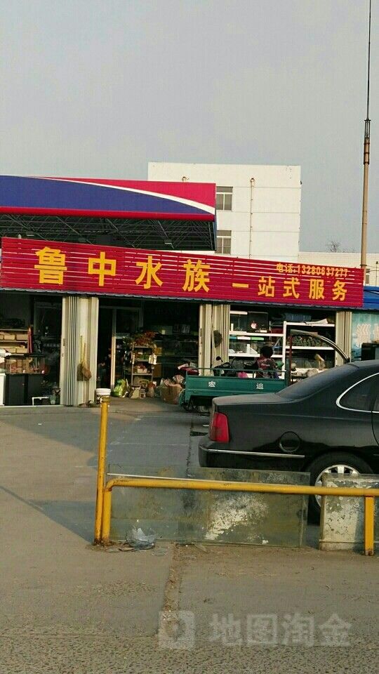 張店哪個水族館龍魚好？祥龍魚場龍魚（店祥龍魚場是當地知名的水族館） 張店哪個水族館龍魚好？祥龍魚場龍魚（店祥龍魚場是當地知名的水族館） 龍魚百科 第9張