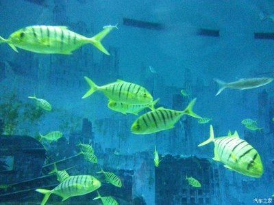 葫蘆島水族館：葫蘆島市連山區(qū)水族館
