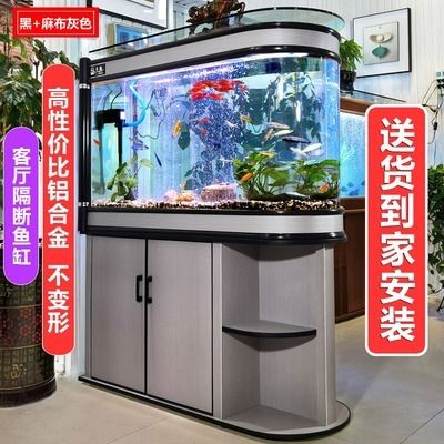 虎斑恐龍魚飼養技巧和方法大全圖解（虎斑恐龍魚的飼養技巧）