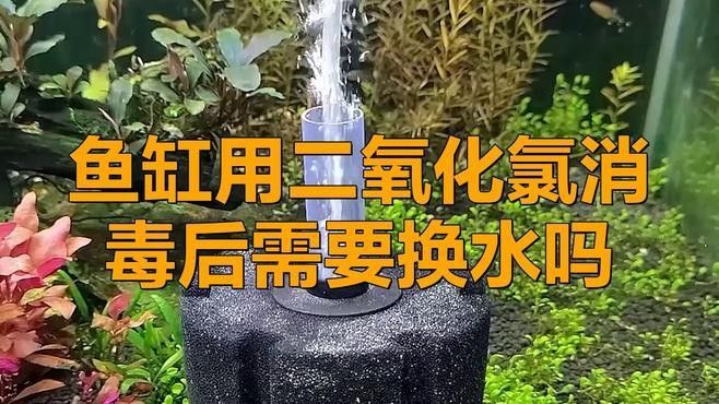 二氧化氯消毒后需要換水嗎？