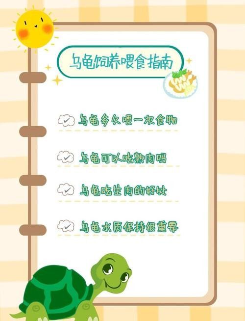 如何延長(zhǎng)烏龜?shù)膲勖ㄈ绾巫屇愕臑觚敻L(zhǎng)壽） 如何延長(zhǎng)烏龜?shù)膲勖ㄈ绾巫屇愕臑觚敻L(zhǎng)壽） 龍魚(yú)百科 第4張