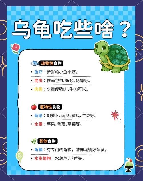 如何延長(zhǎng)烏龜?shù)膲勖ㄈ绾巫屇愕臑觚敻L(zhǎng)壽） 如何延長(zhǎng)烏龜?shù)膲勖ㄈ绾巫屇愕臑觚敻L(zhǎng)壽） 龍魚(yú)百科 第5張