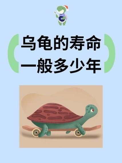 如何延長(zhǎng)烏龜?shù)膲勖ㄈ绾巫屇愕臑觚敻L(zhǎng)壽） 如何延長(zhǎng)烏龜?shù)膲勖ㄈ绾巫屇愕臑觚敻L(zhǎng)壽） 龍魚(yú)百科 第13張