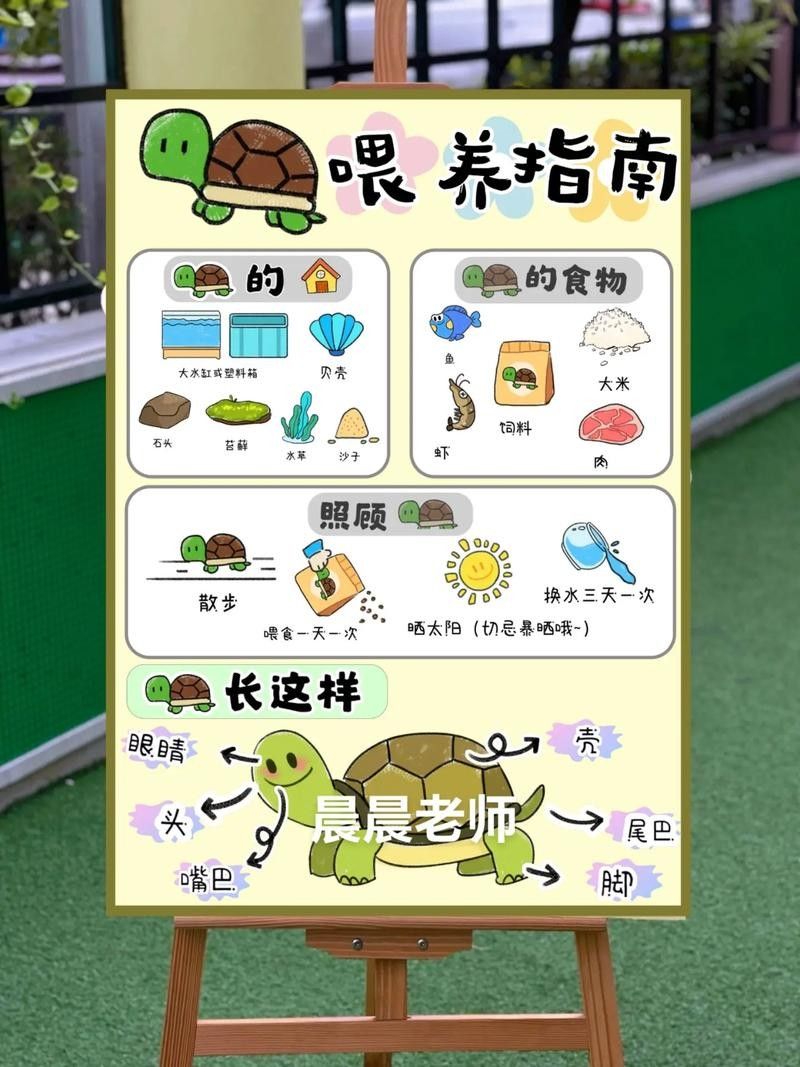 如何延長(zhǎng)烏龜?shù)膲勖ㄈ绾巫屇愕臑觚敻L(zhǎng)壽） 如何延長(zhǎng)烏龜?shù)膲勖ㄈ绾巫屇愕臑觚敻L(zhǎng)壽） 龍魚(yú)百科 第8張