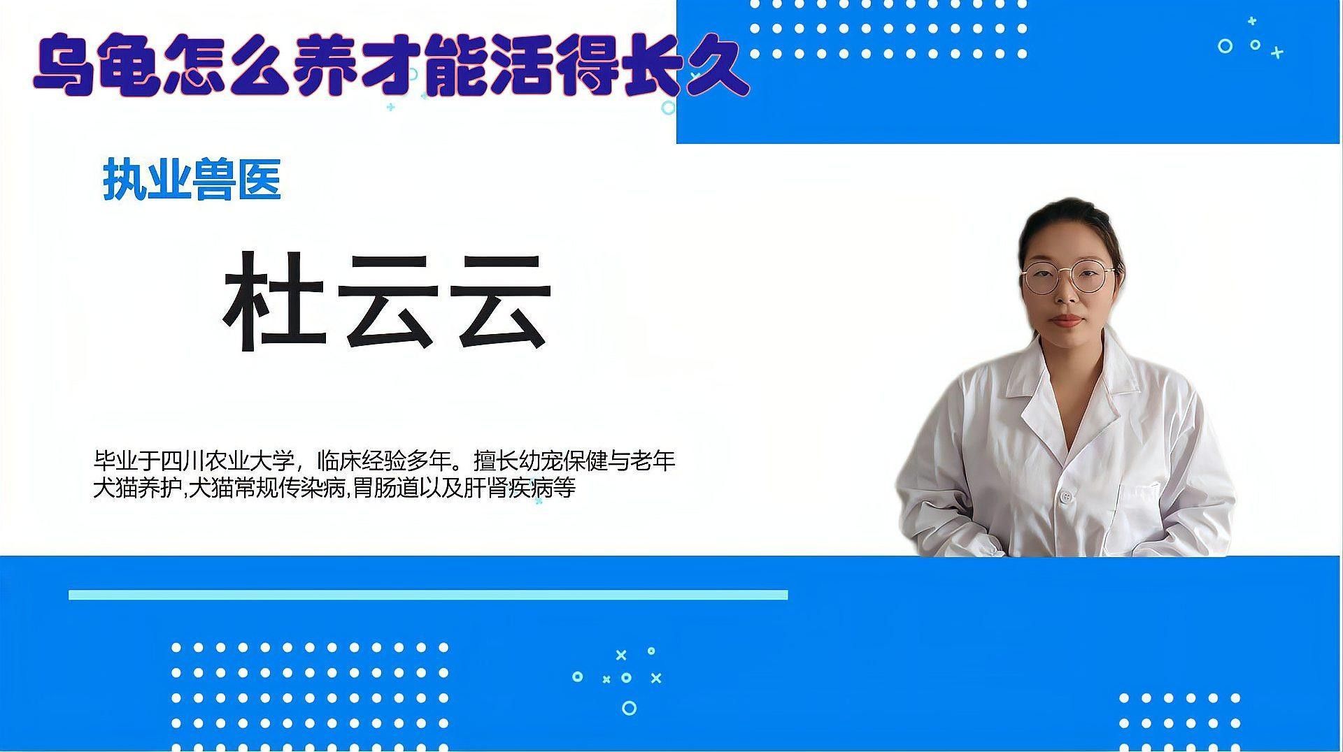如何延長(zhǎng)烏龜?shù)膲勖ㄈ绾巫屇愕臑觚敻L(zhǎng)壽） 如何延長(zhǎng)烏龜?shù)膲勖ㄈ绾巫屇愕臑觚敻L(zhǎng)壽） 龍魚(yú)百科 第9張