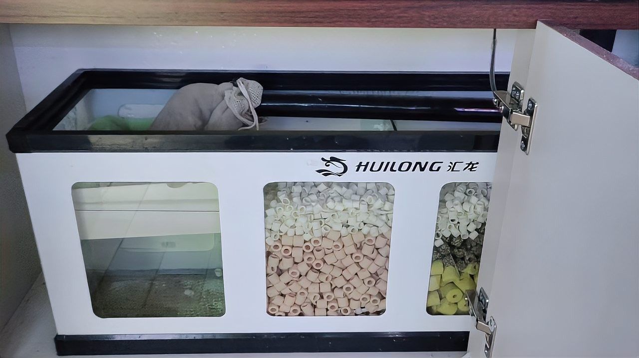 如何正確清洗和更換濾材 如何正確清洗和更換濾材 龍魚百科 第2張