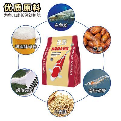 高品質(zhì)觀賞魚收藏趨勢：高品品質(zhì)觀賞魚的收藏趨勢