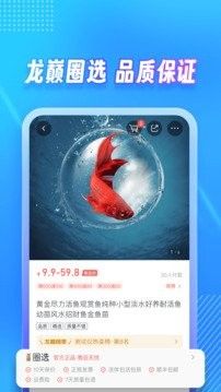 龍巔APP哪個版本最好用？（探討龍巔app哪個版本最好用）