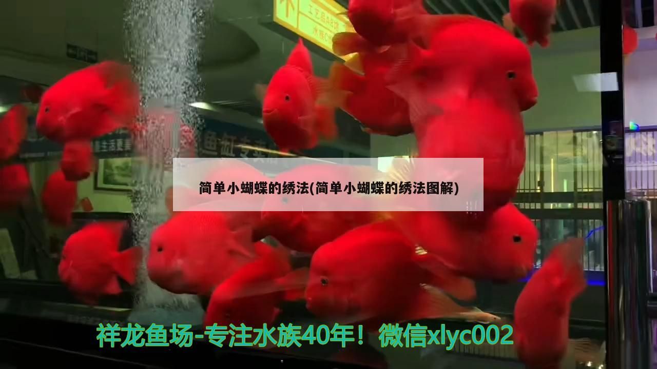 給大魚缸換水的作文:體驗給大魚缸換水的樂趣:體驗給大魚缸換水:給大魚缸換水的作文 簡單小蝴蝶的繡法(簡單小蝴蝶的繡法圖解) 觀賞魚百科 簡單小蝴蝶的繡法(簡單小蝴蝶的繡法圖解) 簡單小蝴蝶的繡法(簡單小蝴蝶的繡法圖解) 觀賞魚百科