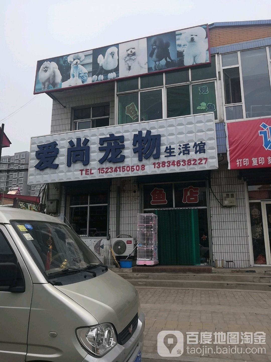 如何聯系太原龍魚生活館（太原龍魚生活館怎么聯系？）