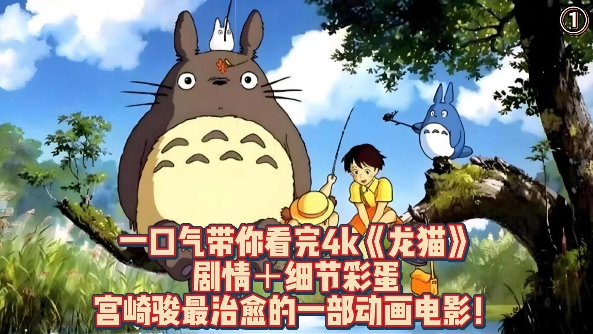 龍貓和貓打架時，誰更容易受傷（龍貓和貓打架時，誰更容易受傷，外國網(wǎng)友看中國貍花貓戰(zhàn)斗機有多強）