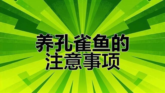 孔雀魚混養的最佳選擇（孔雀魚和什么魚可以混養）