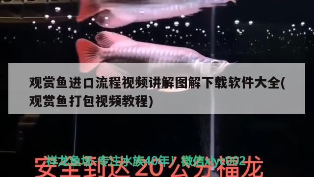 松桃億彩水族館：貴州松桃億彩水族館