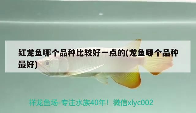 觀賞魚進口流程視頻講解圖解下載軟件大全(觀賞魚打包視頻教程)
