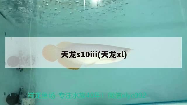 天龍s10ⅲ(天龍xl)（天龍xl、天龍[需手動(dòng)填充]介紹）