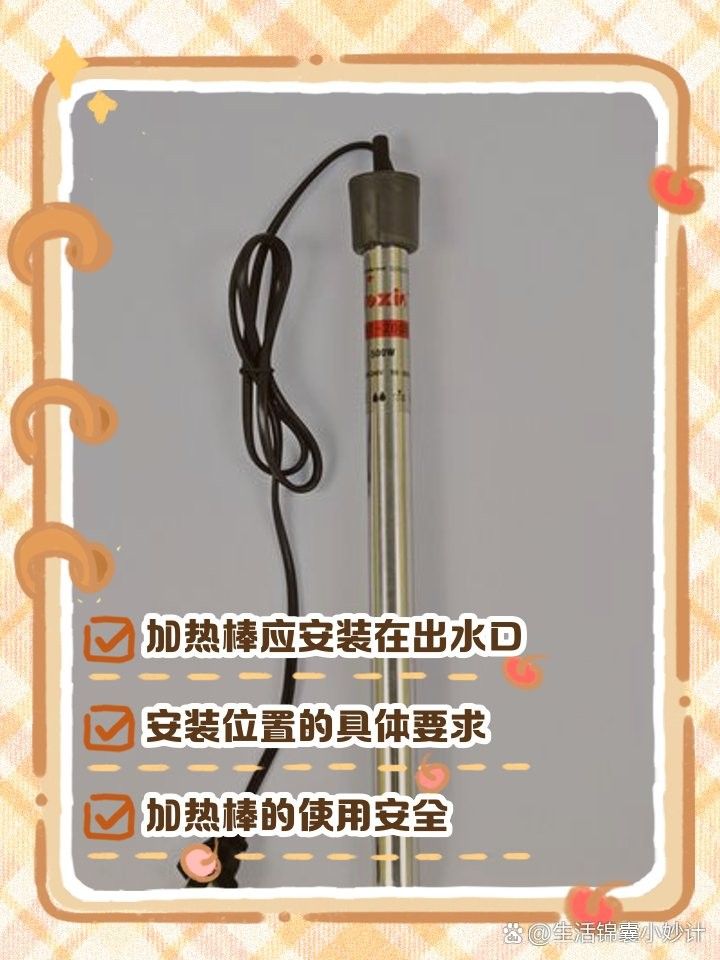 龍魚加熱棒應該放在什么位置（魚缸加熱棒的放置位置） 龍魚加熱棒應該放在什么位置（魚缸加熱棒的放置位置） 龍魚百科 第8張