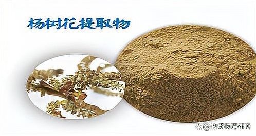 有哪些植物提取物可以預防龍魚疾病？（植物提取物對龍魚疾病的作用）