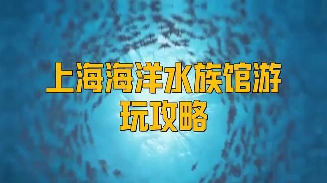 該水族館有哪些特色展區？（上海海洋水族館游玩攻略）