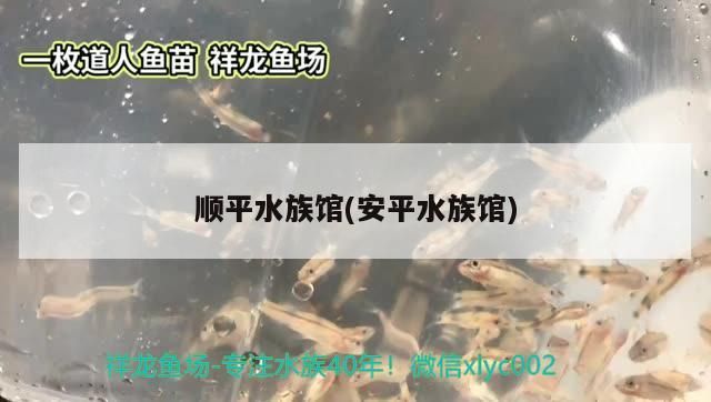順平水族館(<strong><mark>安平</mark></strong>水族館)（北京旅游攻略之順平水族館）