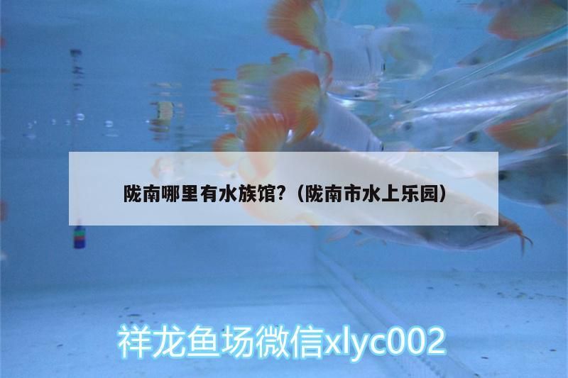 隴南哪里有水族館?（隴南市水上樂園）（隴南哪里有水族館？）