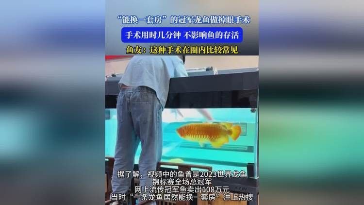 龍魚鰓蓋破損手術風險大嗎？（魚鰓蓋破損手術的風險分析）