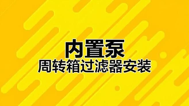 2米缸養金龍魚需要多大的功率過濾器（2米缸養殖金龍魚需要多大的功率過濾器） 2米缸養金龍魚需要多大的功率過濾器（2米缸養殖金龍魚需要多大的功率過濾器） 龍魚百科 第1張