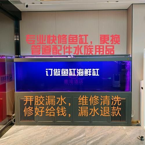 如何聯系騰龍魚缸的官方售后（如何聯系騰龍魚缸官方售后）
