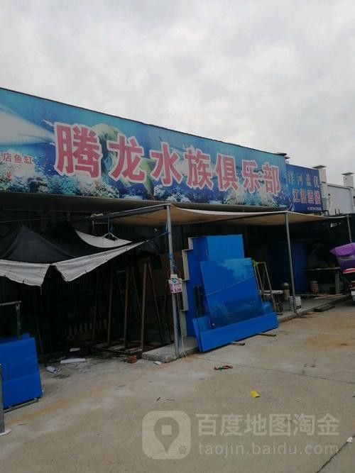 如何聯系騰龍魚缸的官方售后（如何聯系騰龍魚缸官方售后）