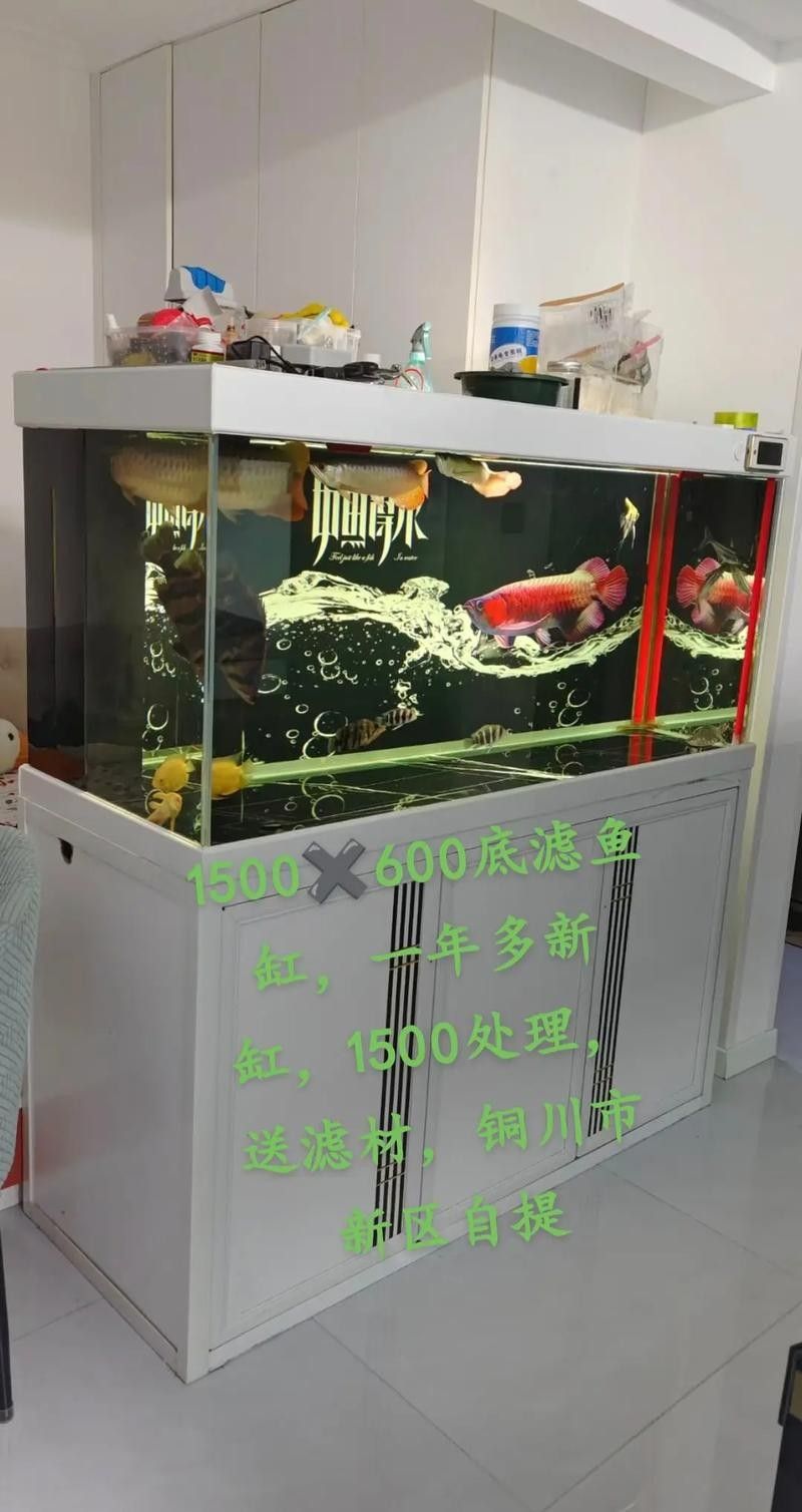 如何聯系騰龍魚缸的官方售后（如何聯系騰龍魚缸官方售后）