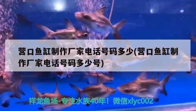 營口魚缸制作廠家電話號碼多少(營口魚缸制作廠家電話號碼多少號)（營口魚缸制作廠家電話號碼多少）