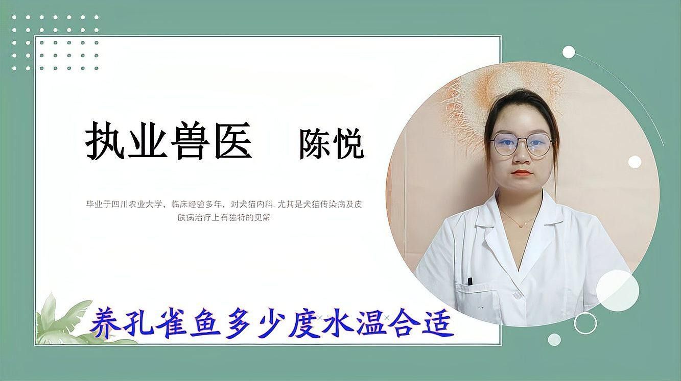 孔雀魚需要多少度的水溫？（養(yǎng)孔雀魚多少度水溫合適） 孔雀魚需要多少度的水溫？（養(yǎng)孔雀魚多少度水溫合適） 龍魚百科 第3張