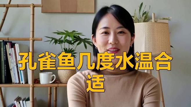 孔雀魚需要多少度的水溫？（養(yǎng)孔雀魚多少度水溫合適） 孔雀魚需要多少度的水溫？（養(yǎng)孔雀魚多少度水溫合適） 龍魚百科 第1張