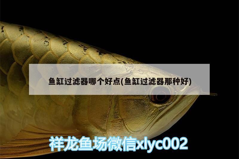 魚缸過濾器哪個好點(魚缸過濾器那種好)（十大魚缸過濾器哪個好點）