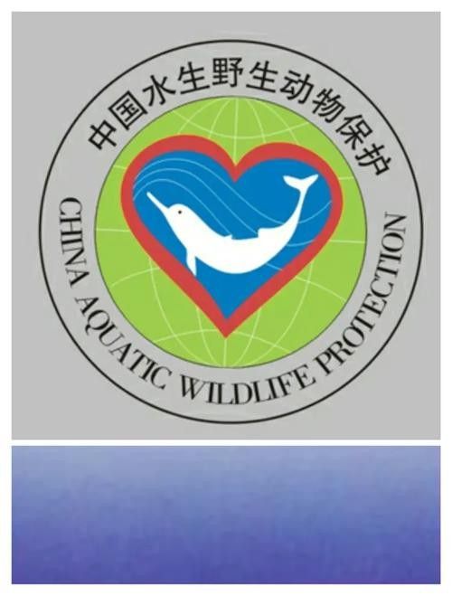 有哪些保護標識牌包含過山龍魚圖片？（保護標識牌中包含過山龍魚圖片的具體案例） 有哪些保護標識牌包含過山龍魚圖片？（保護標識牌中包含過山龍魚圖片的具體案例） 龍魚百科 第10張