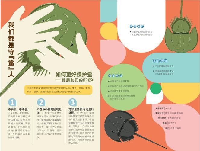 有哪些保護標識牌包含過山龍魚圖片？（保護標識牌中包含過山龍魚圖片的具體案例） 有哪些保護標識牌包含過山龍魚圖片？（保護標識牌中包含過山龍魚圖片的具體案例） 龍魚百科 第20張