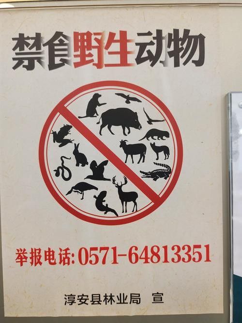 有哪些保護標識牌包含過山龍魚圖片？（保護標識牌中包含過山龍魚圖片的具體案例） 有哪些保護標識牌包含過山龍魚圖片？（保護標識牌中包含過山龍魚圖片的具體案例） 龍魚百科 第15張