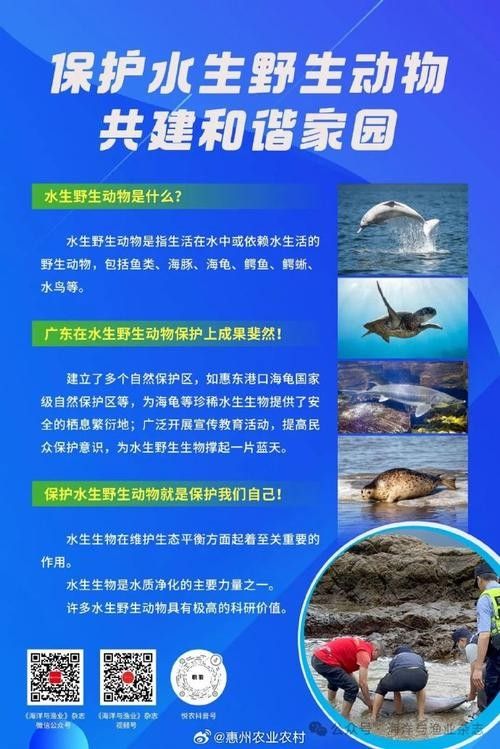 有哪些保護標識牌包含過山龍魚圖片？（保護標識牌中包含過山龍魚圖片的具體案例） 有哪些保護標識牌包含過山龍魚圖片？（保護標識牌中包含過山龍魚圖片的具體案例） 龍魚百科 第13張