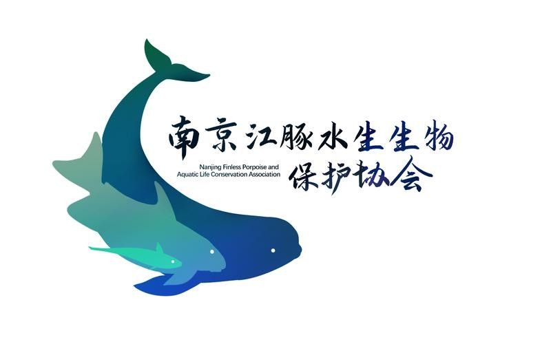 有哪些保護標識牌包含過山龍魚圖片？（保護標識牌中包含過山龍魚圖片的具體案例） 有哪些保護標識牌包含過山龍魚圖片？（保護標識牌中包含過山龍魚圖片的具體案例） 龍魚百科 第5張
